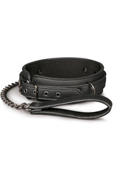 Collars & Leashes