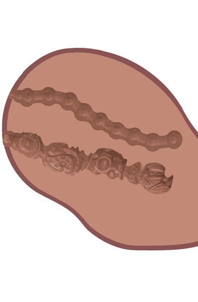 Big Ass Banger Vibrator Brown 3 kg - Sexpuppe 3