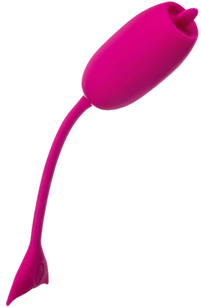 Cal Exotics Rechargeable Kegel Teaser - Vibrierendes Ei 1