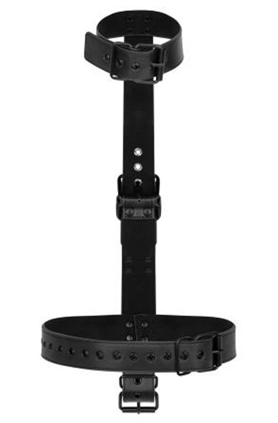 Collar With Wrist Cuffs Body Restraint Set - Position master 3