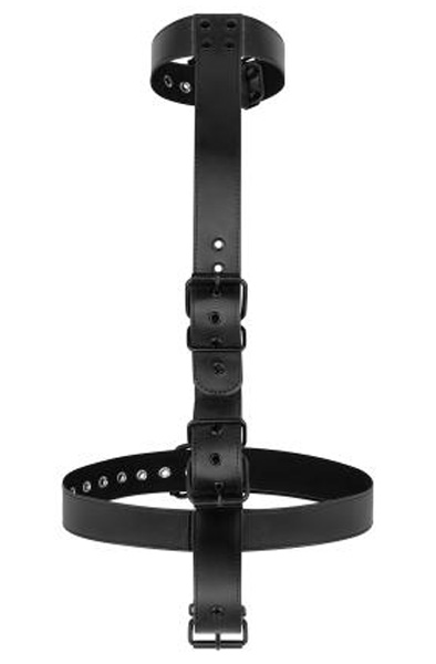 Collar With Wrist Cuffs Body Restraint Set - Position master 4