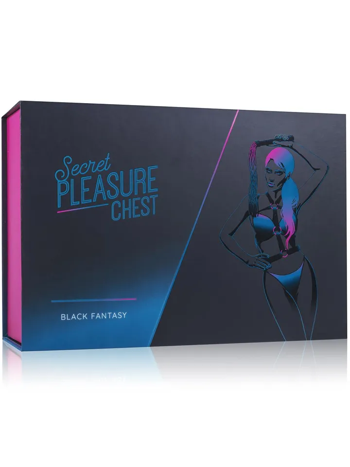 Easytoys Secret Pleasure Chest - Bondage kit 3