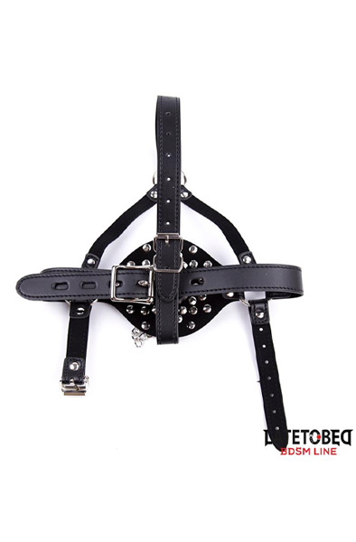 Face Harness Strap Toilet Lid Gag Adjustable - Knebel mit Geschirr 3