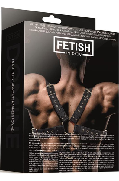 Fetish Aurum Light Chest Bondage Harness - Bondage-Set 2