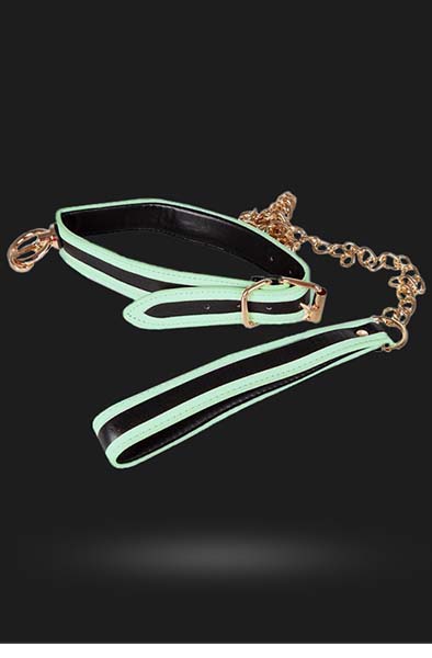 Glow-in-the-Dark Collar with Leash - Halsband & Leine 2