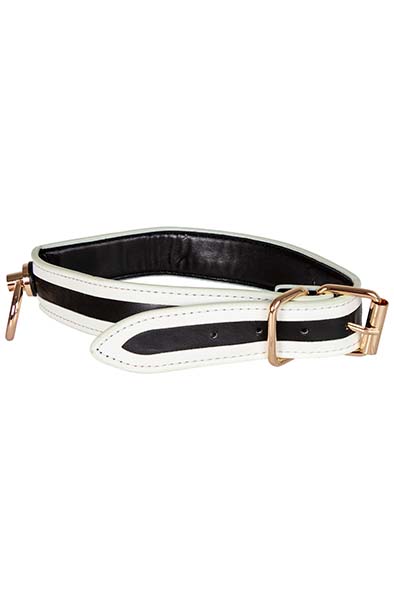Glow-in-the-Dark Collar with Leash - Halsband & Leine 4