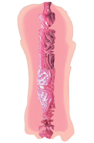 Hidden Desire Tight Flip Fucker Pussy/Mouth - Vagina-Masturbator 2