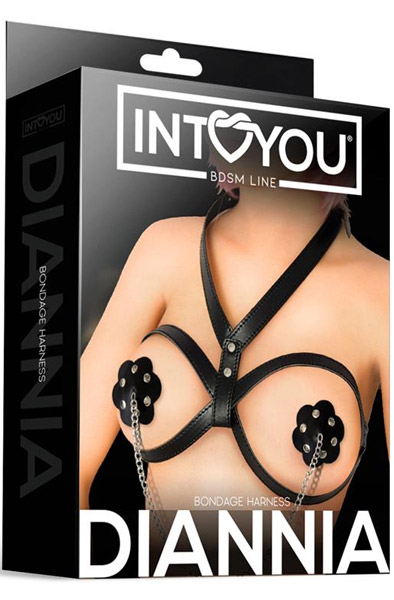 IntoYou Diannia Bondage Harness - Bondage-Set 1