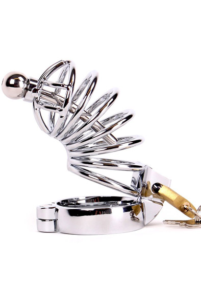 Kiotos Chastity Cage With Penis Stick - Penisring mit Dilatator 1