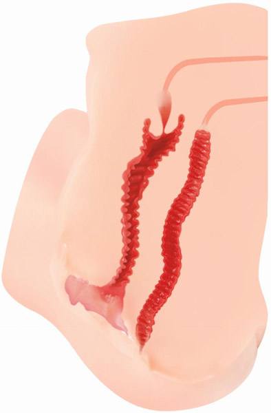 Kokos Hanna Onahole Masturbator 6,4kg - Sexpuppe 2