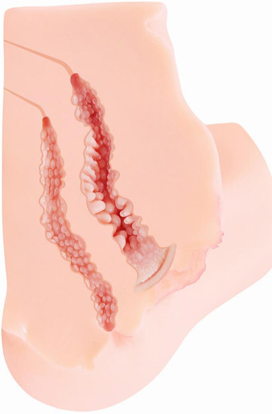 Kokos Onahole Masturbator 5,4kg - Sexpuppe 3