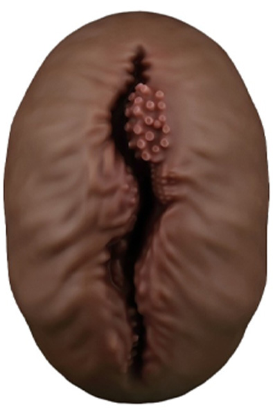 Lovetoy Aliens Pie Masturbator #1 Brown - Masturbator 3