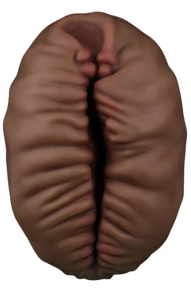 Lovetoy Aliens Pie Masturbator #2 Brown - Masturbator 3