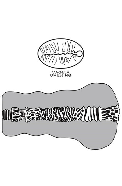 Lovetoy Aliens Pie Masturbator #2 - Masturbator 8