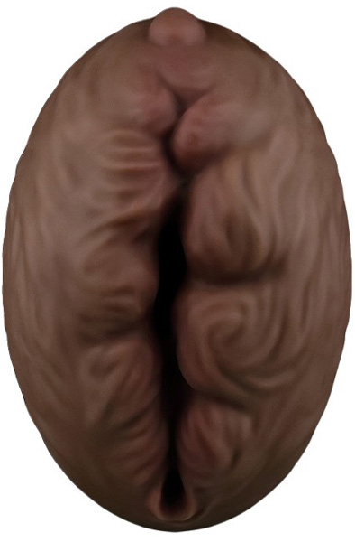 Lovetoy Aliens Pie Masturbator #3 Brown - Masturbator 3