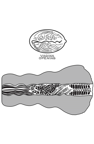 Lovetoy Aliens Pie Masturbator #3 Brown - Masturbator 7