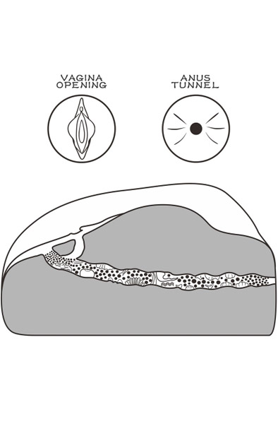 Lovetoy Streetgirl 1 Flesh - Vagina-Masturbator 4