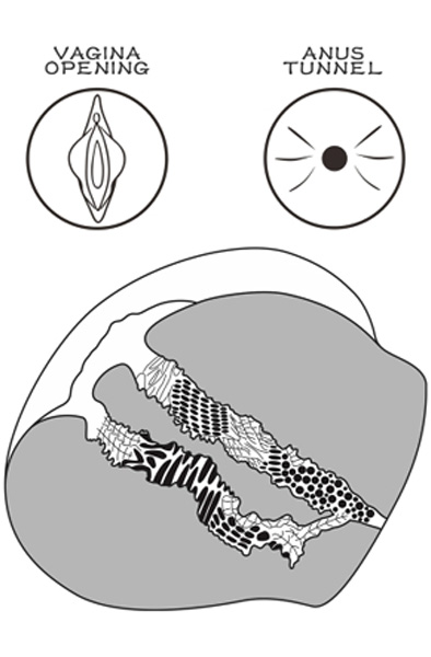 Lovetoy Streetgirl 11 Brown - Vagina-Masturbator 3