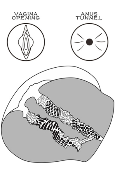 Lovetoy Streetgirl 11 Flesh - Vagina-Masturbator 3