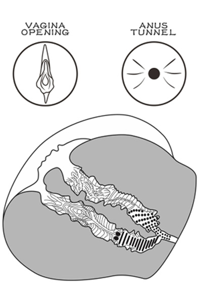 Lovetoy Streetgirl 12 Brown - Vagina-Masturbator 3