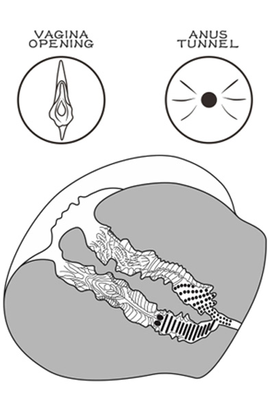 Lovetoy Streetgirl 12 Flesh - Vagina-Masturbator 3