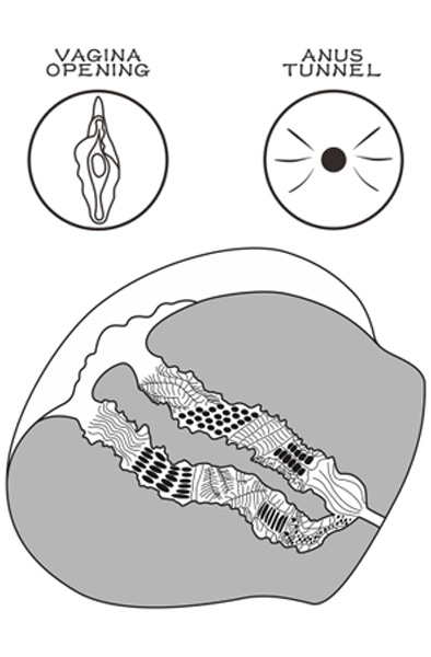 Lovetoy Streetgirl 13 Brown - Vagina-Masturbator 3