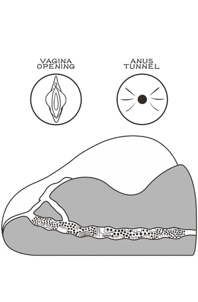Lovetoy Streetgirl 2 Brown - Vagina-Masturbator 4