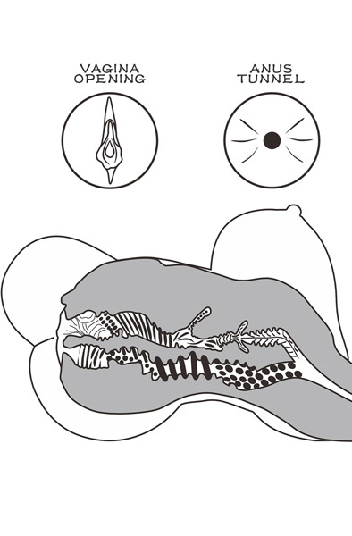 Lovetoy Streetgirls #6 Masturbator Doll 5 kg - Sexpuppe 3