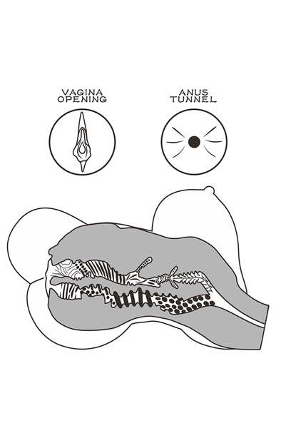 Lovetoy Streetgirls #6 Masturbator Doll Brown 5 kg - Sexpuppe 3