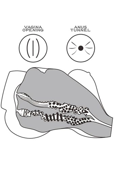 Lovetoy Streetgirls #7 Masturbator Doll Brown - Sexpuppe 3