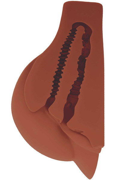 Pipedream Perfect Ass XL Mastrubator Brown 6,5kg - Sexpuppe 2