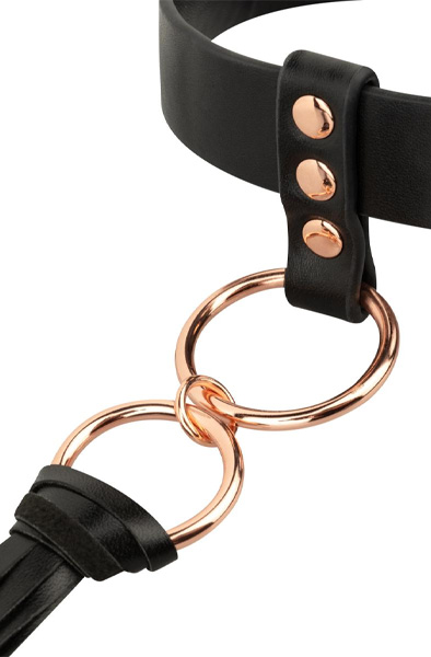 Rosy Gold Collar With Flogger - Collar 4