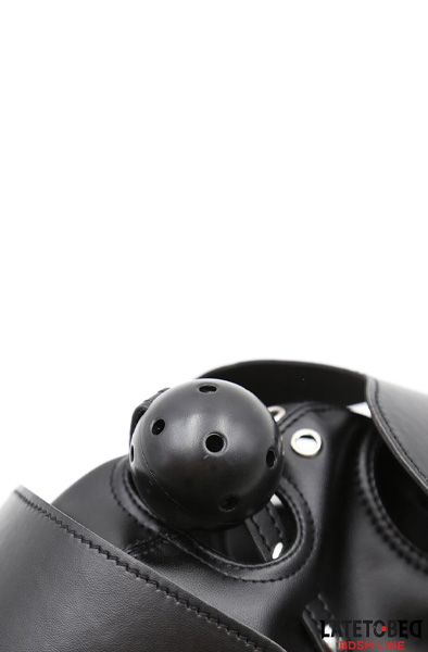 Slave Hood With Eye Mask & Breathable Gag Ball - BDSM Maske 3