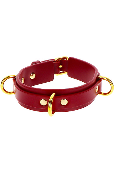 Taboom D-Ring Collar Deluxe - Collar 2