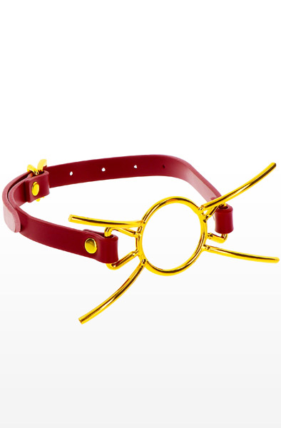 Taboom Open Mouth Spider Gag - Gag 2