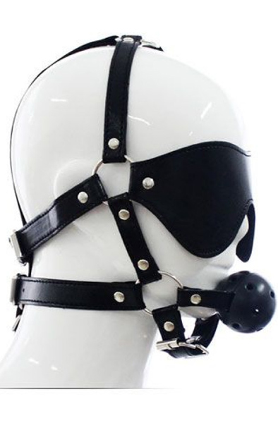 Total Head Harness Restraint - Harness with gag ball 1