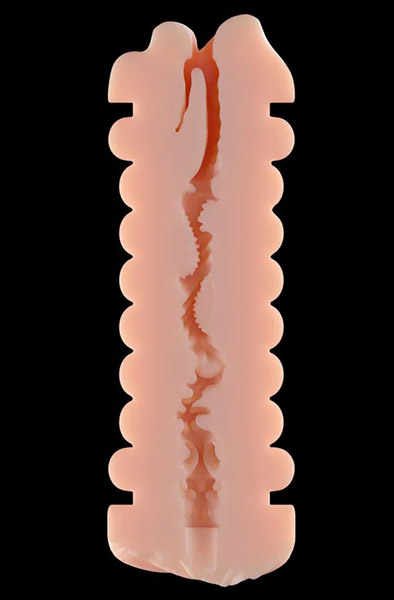 Virgin-Skin Double Blowout Vagina & Mouth - Stroker 5