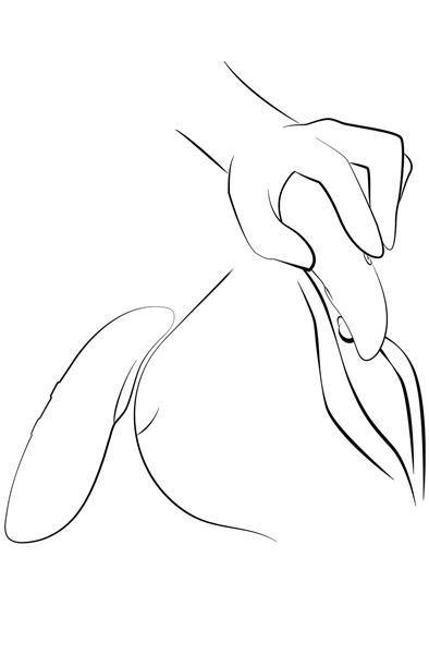 We-Vibe Touch X Crave Coral - Vibrator 3