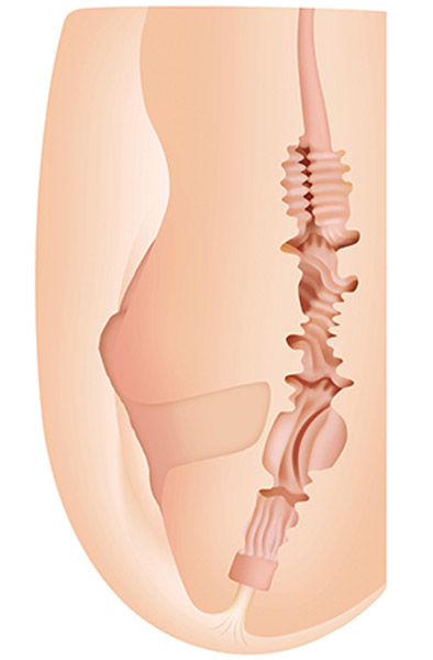 Zero Tolerance Sasha Grey Vagina & Ass Stroker - Vagina-Masturbator 2